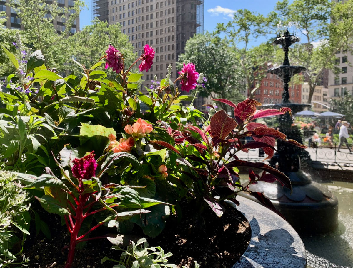 Office near Madison Square Park